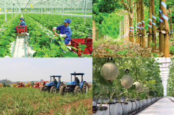 UBND tỉnh triển khai Đề án sản xuất nông nghiệp ứng dụng công nghệ cao, nông nghiệp sạch, hữu cơ