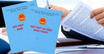 Triển khai Nghị định sửa đổi, bổ sung một số điều về người lao động nước ngoài làm việc tại Việt Nam