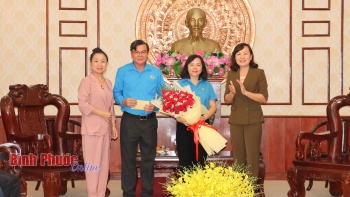Lãnh đạo tỉnh gặp mặt đoàn đại biểu đi dự Đại hội Công đoàn Việt Nam
