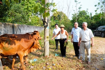 Phú Riềng trao tặng 54 con bò giống sinh sản cho các hộ nghèo, khó khăn