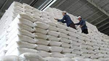 Xuất cấp gạo hỗ trợ các địa phương dịp Tết Nguyên đán, giáp hạt năm 2024