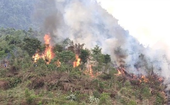Tiếp tục thực hiện các biện pháp bảo vệ rừng, phòng cháy, chữa cháy rừng