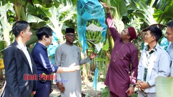 Đại sứ quán Liên bang Nigeria tại Việt Nam tham quan mô hình nông nghiệp công nghệ cao tại Đồng Phú