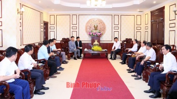 Bí thư Tỉnh ủy Nguyễn Mạnh Cường tiếp doanh nghiệp đầu tư đến từ Hàn Quốc