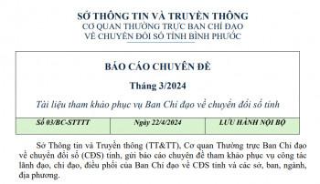 Báo cáo chuyên đề chuyển đổi số tỉnh Bình Phước tháng 03/2024