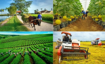 Tổng điều tra nông thôn, nông nghiệp năm 2025 bắt đầu từ ngày 01/7/2025