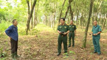 Chơn Thành tổ chức khảo sát, tìm kiếm mộ liệt sỹ