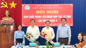 6 tháng đầu năm có 17 hợp tác xã thành lập mới