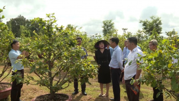 Quận 8, TPHCM kết nối đầu tư, tiêu thụ sản phẩm nông nghiệp với Chơn Thành