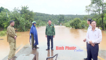 Sẵn sàng các phương án phòng, chống thiên tai và tìm kiếm cứu nạn