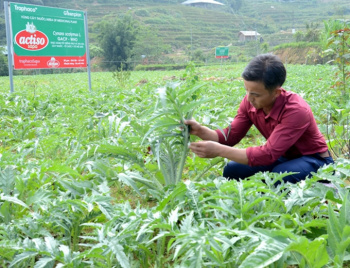 Tuyên truyền chủ trương, chính sách phát triển nền y học cổ truyền