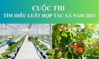 Cuộc thi tìm hiểu Luật Hợp tác xã năm 2023