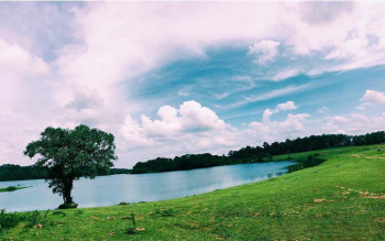 Triển khai Chỉ thị của Thủ tướng Chính phủ về phát triển các ngành công nghiệp văn hóa Việt Nam