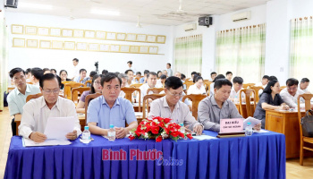 Sản xuất nông nghiệp ứng dụng công nghệ cao, sạch và hữu cơ trên địa bàn tỉnh