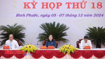 Tiếp tục xem xét các tờ trình, dự thảo nghị quyết do UBND tỉnh trình tại kỳ họp