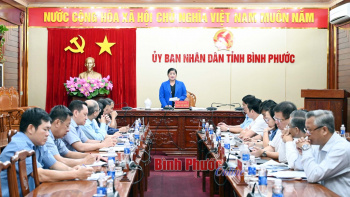 Tập trung giải quyết triệt để bài toán lộ trình thay đổi về chất