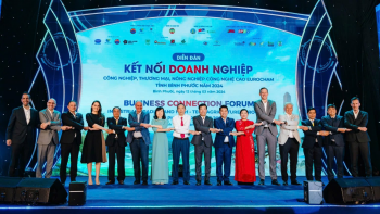 7 hội nghị, hội thảo quốc tế được tỉnh tổ chức trong năm 2024