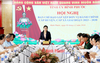 Họp Ban Chỉ đạo triển khai sắp xếp đơn vị hành chính cấp huyện, cấp xã giai đoạn 2023-2030