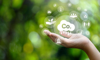 Đẩy mạnh thực hiện Chiến lược quốc gia về tăng trưởng xanh