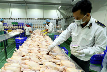 Chấn chỉnh công tác kiểm dịch, cấp giấy chứng nhận kiểm dịch động vật, sản phẩm động vật