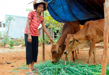 Triển khai công tác dân tộc trên địa bàn tỉnh năm 2025