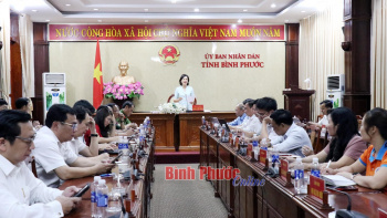 Triển khai các công việc cần làm ngay liên quan đến phát triển khoa học, công nghệ, chuyển đổi số và Đề án 06