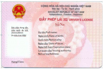 Quy cách giấy phép lái xe mới áp dụng từ ngày 01/3/2025