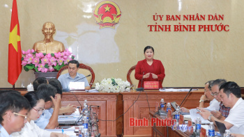 Thông qua điều chỉnh cục bộ đối với một số quy hoạch trên địa bàn tỉnh