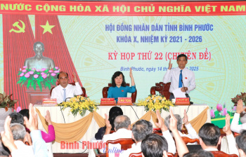 Kỳ họp thứ 22 HĐND tỉnh khóa X thông qua 2 nghị quyết quan trọng