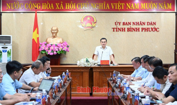 Rà soát, giải quyết khó khăn, vướng mắc liên quan đến các công trình điện