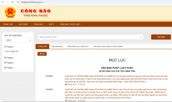 Các loại văn bản đăng tải trên công báo điện tử cấp tỉnh