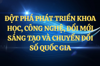 Tổ chức triển khai quyết liệt, đồng bộ Nghị quyết 57