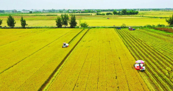 Các thủ tục hành chính về đất đai