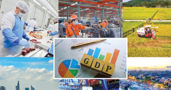 Đẩy mạnh triển khai đồng bộ các giải pháp phát triển kinh tế - xã hội