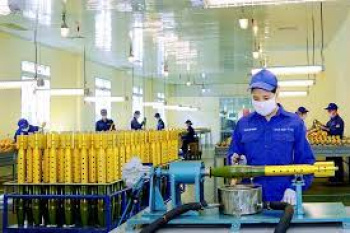 Quy định chi tiết một số điều của Luật Công nghiệp quốc phòng, an ninh và động viên công nghiệp