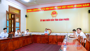 Triển khai văn bản quy phạm pháp luật lĩnh vực quản lý, sử dụng tài sản công
