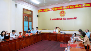 Đẩy mạnh thực hiện các hệ thống thông tin
