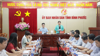 Ct UBND tỉnh pb