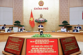 HN của Chính phủ