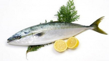 Phòng chống ngộ độc thực phẩm do Histamine trong cá