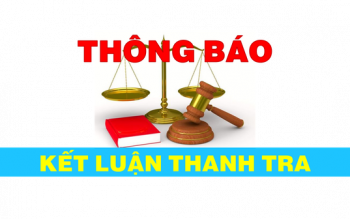 Kết luận thanh tra việc chấp hành các quy định của pháp luật về vật tư, trang thiết bị y tế đối với Công ty Cổ phần Dược phẩm Long Châu, địa điểm kinh doanh Nhà thuốc Long Châu số: 1208, 1341, 1481, 1500, 1251, 1277, 1352, 1197, 1301, 1145, 1363