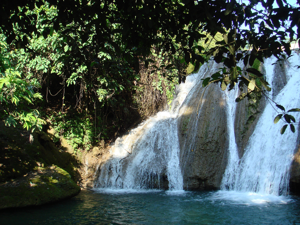 Tourism projects calling for investments: Ben Truong Doi Eco-tourism Park