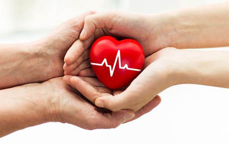 hien1 17423765285791756267683