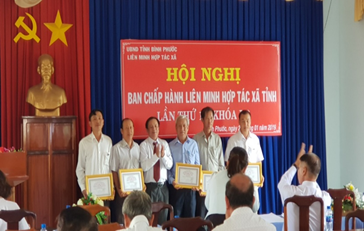 Ông Huỳnh Lam Phương - Phó trưởng cơ quan phía Nam Liên minh HTX Việt Nam trao khen thưởng cho các tập thể, cá nhân tại Hội nghị Ban Chấp hành Liên minh Hợp tác xã tỉnh năm 2019
