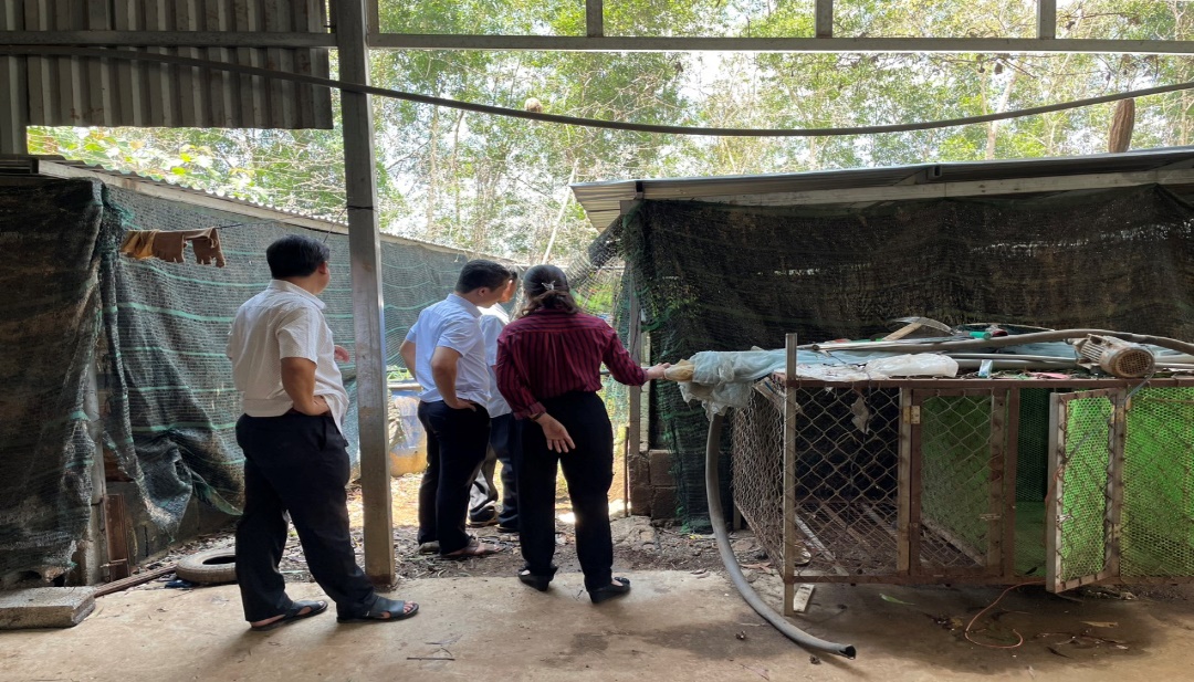 Thăm quan mô hình chăn nuôi Bò thịt của Hợp tác xã chăn nuôi bò BBB Thanh Hòa