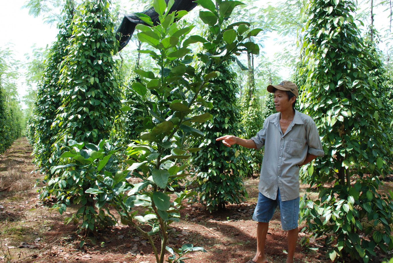 Mô hình trồng trọt, chăn nuôi tổng hợp của một nông dân huyện Lộc Ninh