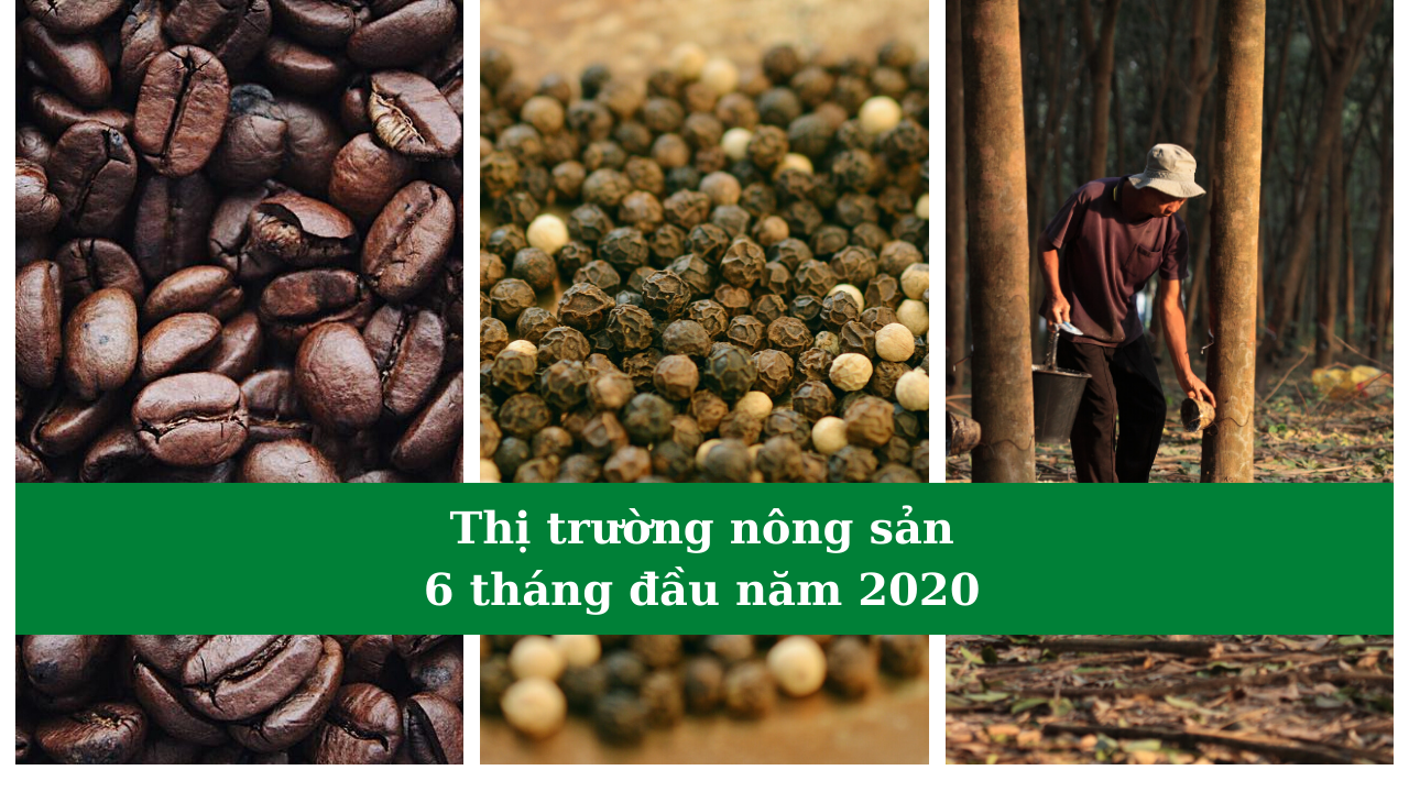 thi truong nong san 6 thang 2020