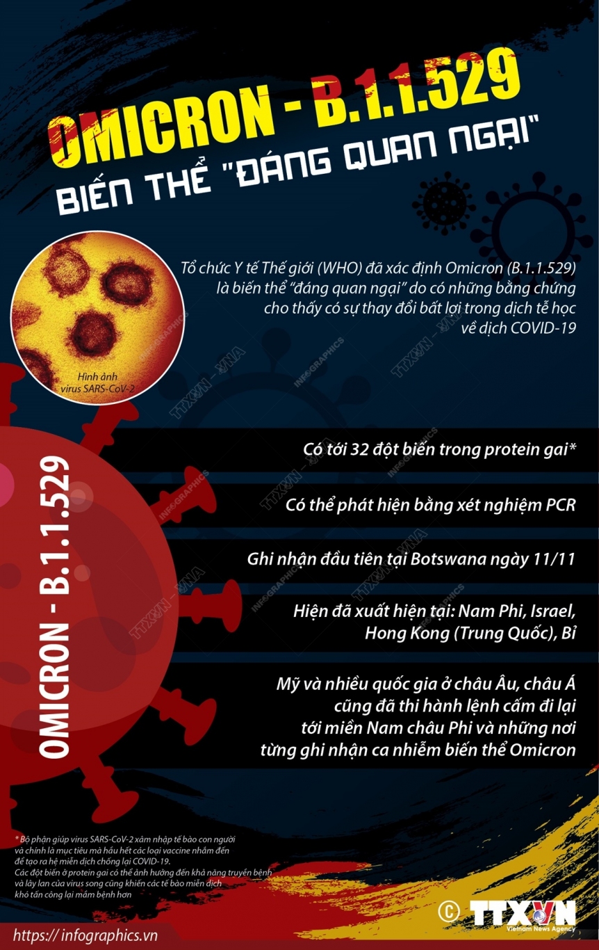 2021 11 27 bien the virus omicron b11529 ruby