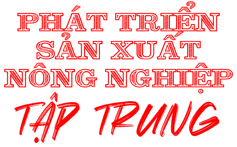 quy hoach tinh binh phuoc trang 2 02 14464905042024