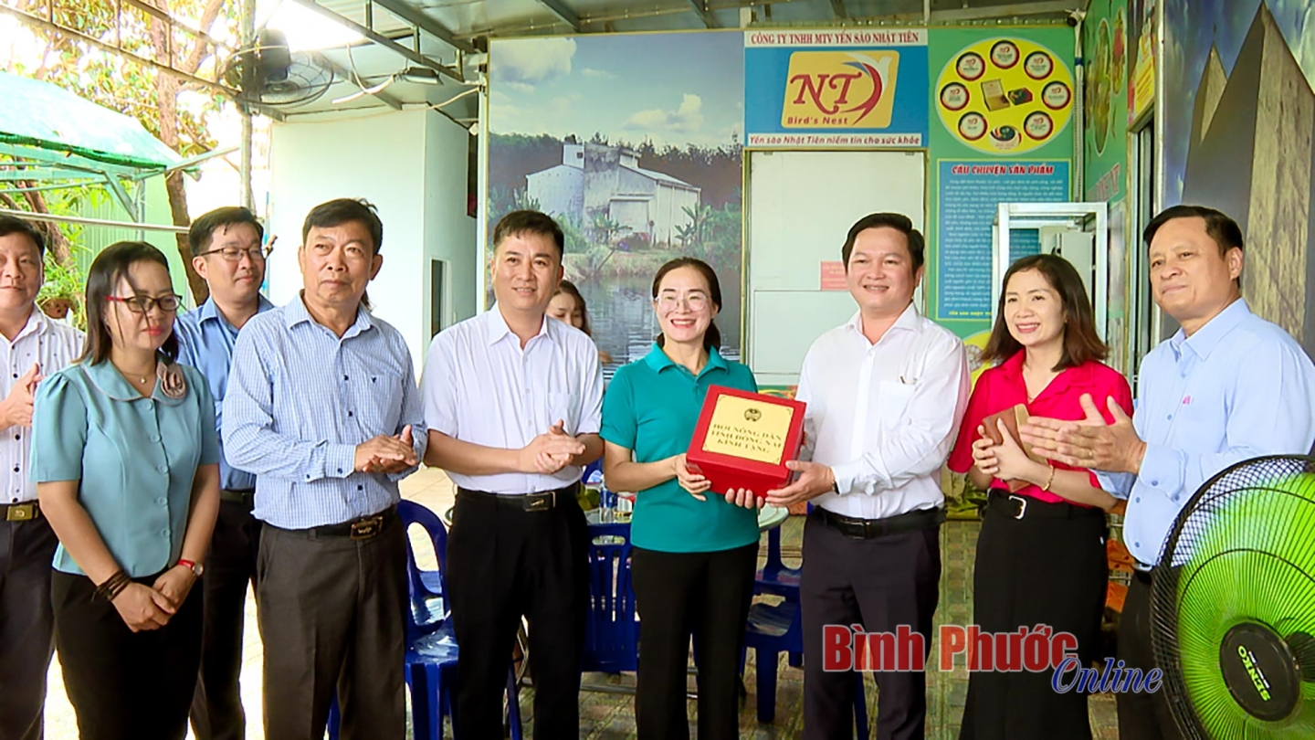 96218 tubon4473 mxf 08 38 47 09 14565628052025